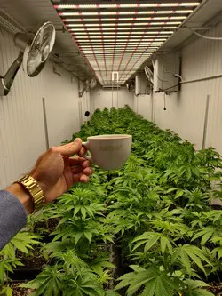 Guide to Growing Marijuana In Shipping Containers - Marijuana