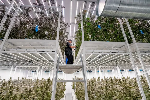Airflow System for Vertical Grow Racks - Innovative Growers
